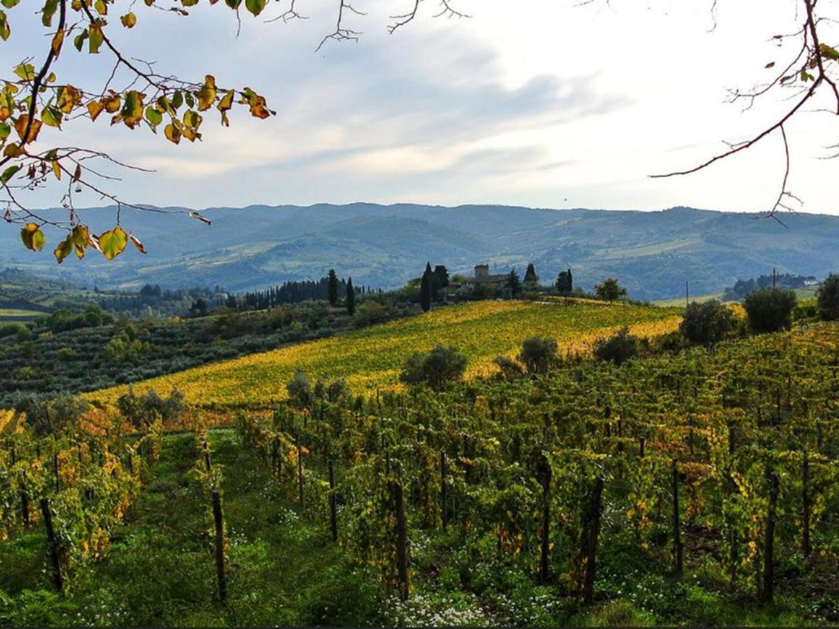 Holiday Home Locazione Turistica Selvapiana By Interhome Greve in Chianti Exterior photo